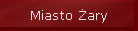 Miasto �ary